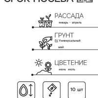 Семена цветов Петуния ампельная крупноцветковая "Лавина" Синяя звезда F1, О, драже 10 шт