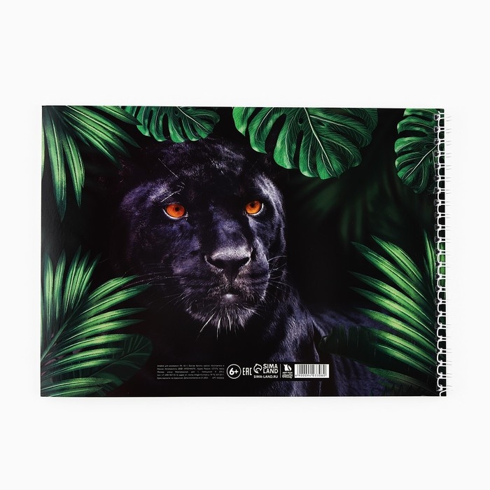 Альбом для рисования 40 листов А4 на пружине &laquo;Пантера&raquo; обложка 200 г/м&sup2;, бумага 100 г/м&sup2;.