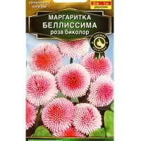 Семена цветов Маргаритка Беллиссима роза биколор Дв (драже в пробирке) С. PanAmerican, Ц/П,7 шт. 109