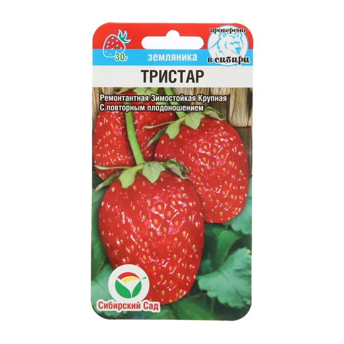 Семена Земляника ремонтантная &laquo;Тристар&raquo;, 10 шт., &laquo;Сибирский сад&raquo;