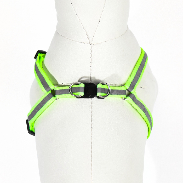 Комплект со светоотражающей лентой, ошейник 120 х 1 см, ОГ 26-40 см, зеленый