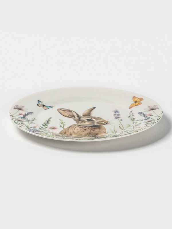 Тарелка обеденная Доляна "Зайка" цвет белый  25,5х2,5 см