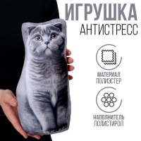Антистресс игрушка, кот &laquo;Шотландец&raquo;