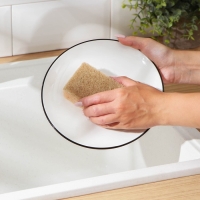 Набор губок для мытья посуды Raccoon &laquo;Ренессанс&raquo;, 2 шт, 9&times;6,5&times;3,5 см, крупнопористый поролон, бежевый