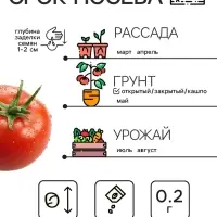 Семена Томат "Сибирский скороспелый", 0,2 г