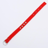 Ошейник для животных