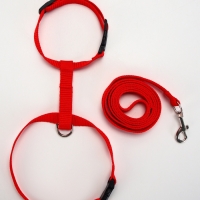 Комплект для кошек, ширина 1,5 см, ОШ 16,5-27 см, ОГ 21-35 см, поводок 120 см, красный
