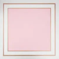 Пленка флористическая, розовая, 58 х 58 см, 50 мкм