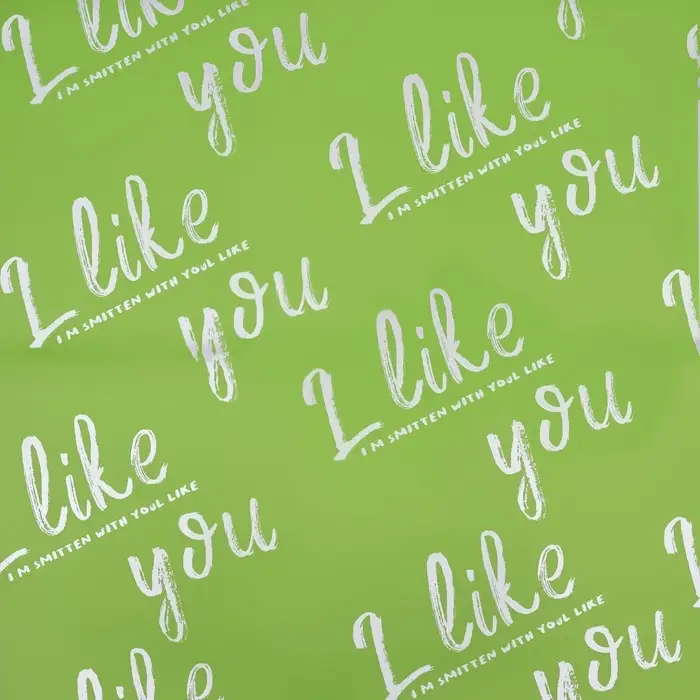 Пленка для цветов матовая, &laquo;Ты мне нравишься&raquo;, 57&times;57 см, зелёная мята, 65 мкм