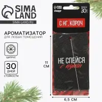 Ароматизатор в машину новогодний &laquo;Не спейся с пути&raquo;, аромат цитруса