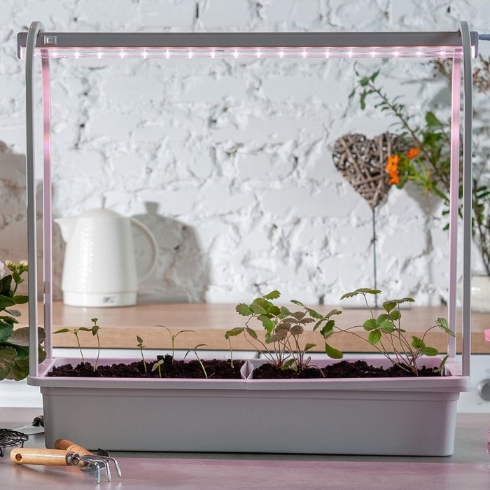 Фитосветильник светодиодный Uniel, 10 Вт, 572 мм, IP20, 220 В, полноспектральный, с выкл. Фитосветильник светодиодный Uniel, 10 Вт, 572 мм, IP20, 220 В, полноспектральный, с выкл.