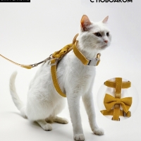 Комплект амуниции "Леди и Джентельмен", поводок 120 х 1,5 см, желтый