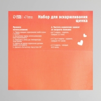 Набор для вскармливания &laquo;Пушистое счастье&raquo; для щенят, 60 мл, с 4 сосками и ёршиком