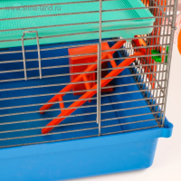 Клетка для грызунов Мини, двухъярусная, с полкой, домом и микс лабиринтов Клетка для грызунов Мини, двухъярусная, с полкой, домом и микс лабиринтов