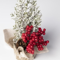 Светодиодная фигура &laquo;Ёлочка в снегу&raquo;, 10 &times; 19 &times; 5 см, пластик, батарейки CR2032х2 (в комплекте), свечение белое