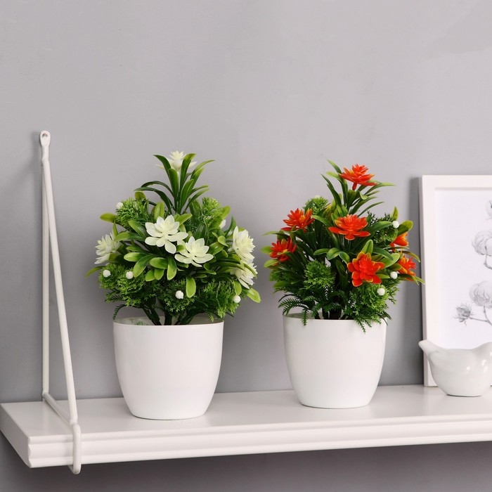 Бонсай в горшке Бонсай в горшке "Праздничный цветник" 9х21 см, микс