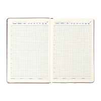 Ежедневник недатированный, обложка ПВХ, формат А5, 140 л, клетка, металлик Бронза Ежедневник недатированный, обложка ПВХ, формат А5, 140 л, клетка, металлик Бронза