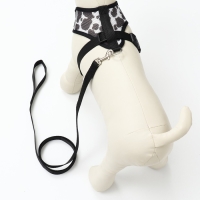 Комплект для собак 12-15 кг, размер XL, поводок 120 х 1,5 см ОШ 38 см, ОГ 57 см