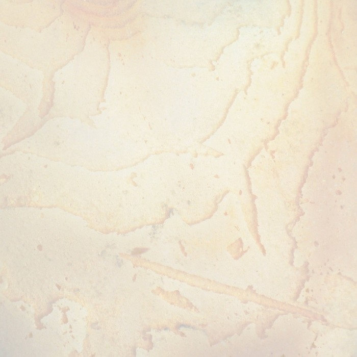 Панцирь каракатицы для птиц 18 см, белый