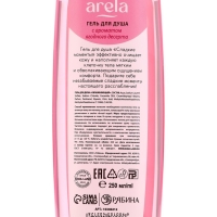 Гель для душа &laquo;Сладкие моменты&raquo;, 250 мл, аромат ягодного десерта, ARELA