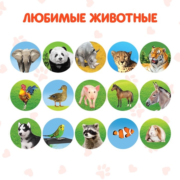 Проектор-фонарик «Команда Мяу: Изучаем животных» Проектор-фонарик «Команда Мяу: Изучаем животных»