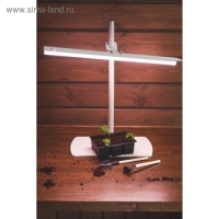 Кассета для рассады, на 9 ячеек, по 80 мл, пластиковая, чёрная, 18 &times; 13 &times; 6 см, Greengo