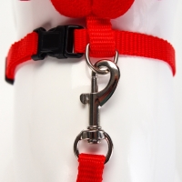 Комплект амуниции "Ангел", размер XS, шлейка 19-26 см, поводок 120 х 1 см, красный