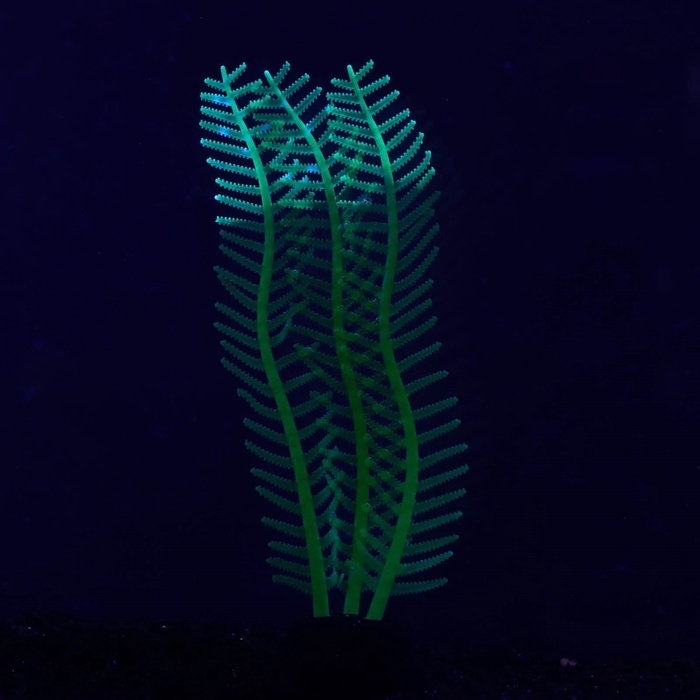 Растение силиконовое аквариумное, светящееся в темноте, 4,5 х 15 см, зелёное