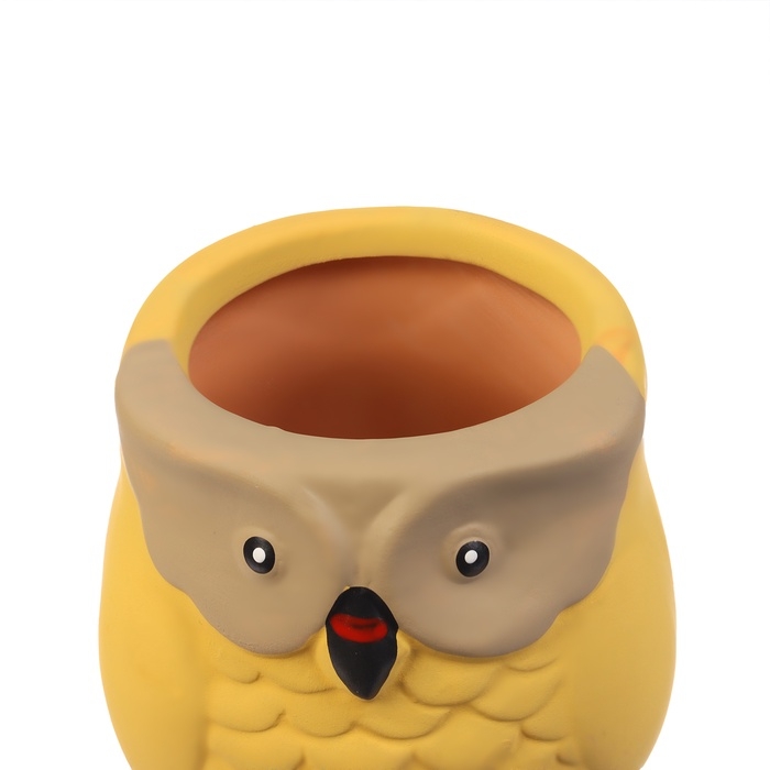 Ороситель &laquo;Совушка&raquo;, 16&times;6см, цвет МИКС, набор 4 шт.