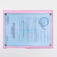 Папка для медицинского полиса "Мишка" для девочки, 17,5 х 11,3 см Папка для медицинского полиса "Мишка" для девочки, 17,5 х 11,3 см