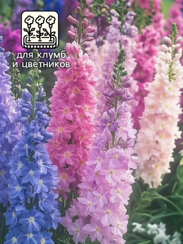 Семена цветов Дельфиниум "Гиацинт", 0,3 г