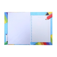 Папка школьная с креплением &laquo;Портфолио дошкольника&raquo;, 7 листов-разделителей, 21,5 х 30 см.