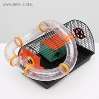 Клетка для грызунов "Саквояж", малая, с лабиринтом, 40 х 25 х 21 см, микс цветов Клетка для грызунов "Саквояж", малая, с лабиринтом, 40 х 25 х 21 см, микс цветов