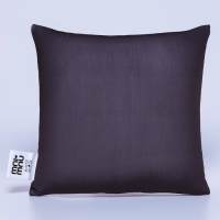 Подушка-антистресс декоративная &laquo;Самый сильный, самый умный, самый смелый&raquo;, 20х20 см