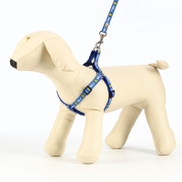 Комплект амуници "Смайлик", ширина 1 см, поводок 120 см, шлейка 26-38 см, синий