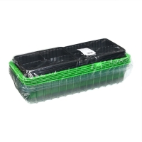 Мини-парник для рассады, 40 &times; 16 &times; 13 см, 2 вставки, 8 ячеек, зелёный, Greengo