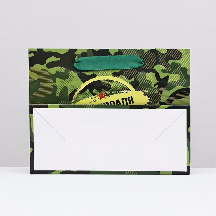 Пакет ламинированный горизонтальный "Мужской праздник", 23 х 18 х 10 см