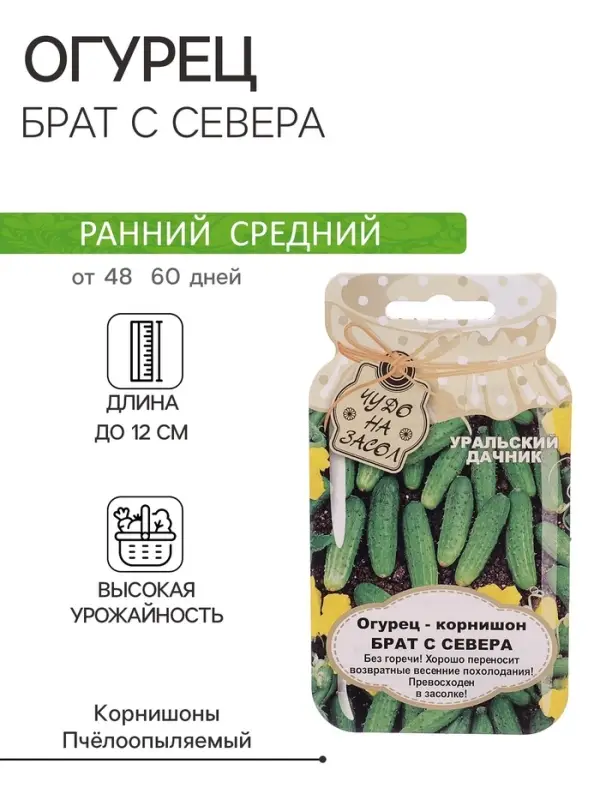 Семена огурца "Брат с Севера", 10 шт.