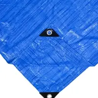 Тент защитный, 8 &times; 4 м, плотность 60 г/м&sup2;, УФ, люверсы шаг 1 м, тарпаулин, УФ, синий
