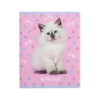 Тетрадь 48 листов в линию &laquo;Девочки&raquo;, обложка мелованный картон, блок офсет, МИКС