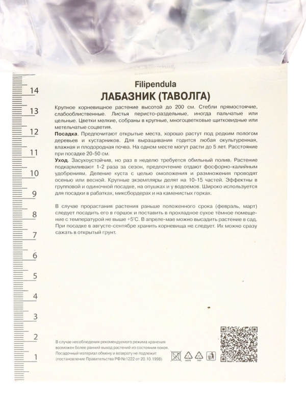 Лабазник вязолистный Вариегата, р-р I, 1 шт, Весна 2025 Лабазник вязолистный Вариегата, р-р I, 1 шт, Весна 2025