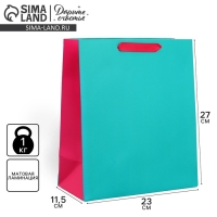 Пакет подарочный двухцветный, упаковка, &laquo;Розовый-голубой&raquo;, ML 23 х 27 х 11.5 см