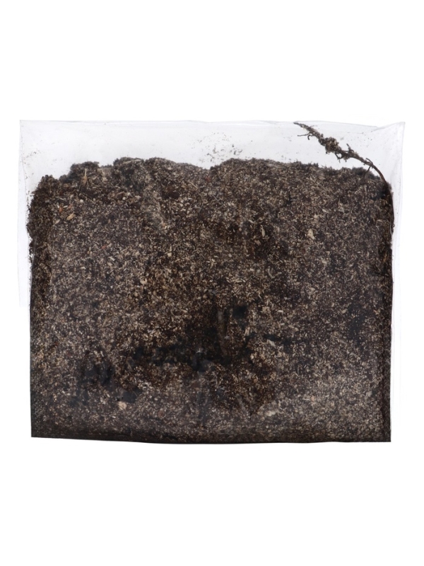 Флокс "Юник Оранж" р-р I, 2 шт, Весна 2025, ЭКОНОМ,