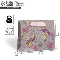 Пакет подарочный крафтовый, упаковка, &laquo;Птицы&raquo;, S 15 х 12 х 5.5 см