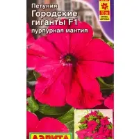 Семена цветов Петуния Городские гиганты F1 пурпурная мантия  (драже в пробирке), Ц/П,7 шт.