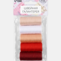 Набор ниток &laquo;Багровый румянец&raquo;, 40/2, 200 м, 5 шт, цвет разноцветный