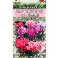 Семена Ком: Цикламен Бахромчатый с каймой /Сотка/ 3 шт/ h-30см d-5см/*1500