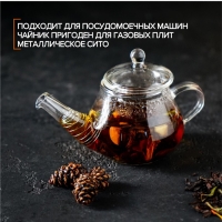 Чайник заварочный &laquo;Дамбо&raquo;, 100 мл, стекло, с металлическим ситом, прозрачный