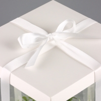 Коробка PVC, для цветов с лентой, 28 х 18 х 18 см, белый Коробка PVC, для цветов с лентой, 28 х 18 х 18 см, белый