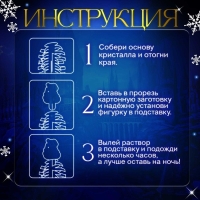 Набор для опытов &laquo;Новогодние кристаллы&raquo;, змейка-волшебница